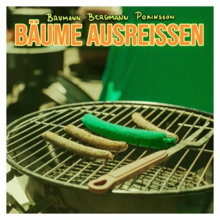 Bäume ausreißen lyrics | Boomplay Music