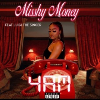 Misshy Money