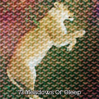 73 Meadows Of Sleep