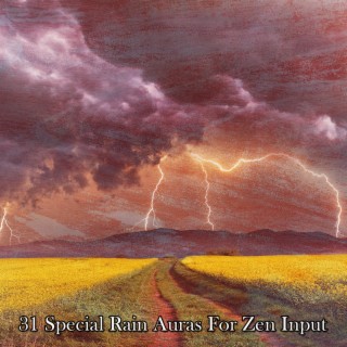 31 Special Rain Auras For Zen Input