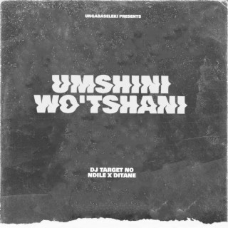 Umshini Wo'tshani