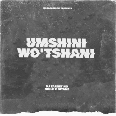Umshini Wo'tshani ft. Ditane | Boomplay Music