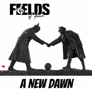 Fields of Dawn