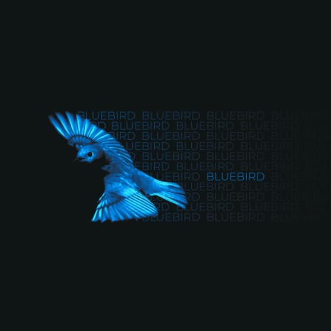 Blue Bird | Boomplay Music