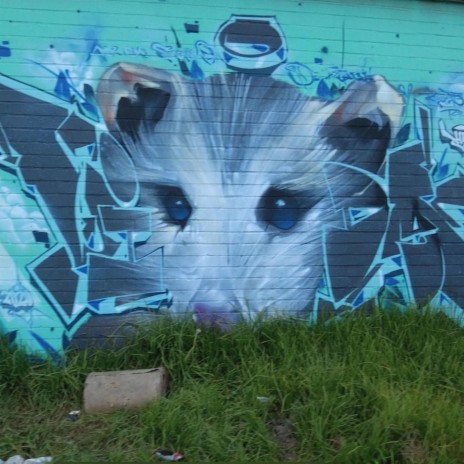 Opossum Breath Blue | Boomplay Music