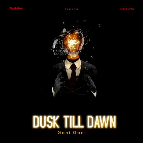 DJ Gani Gani x Dusk Till Dawn Slowed ft. Lloyd Drop | Boomplay Music
