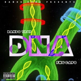 DNA