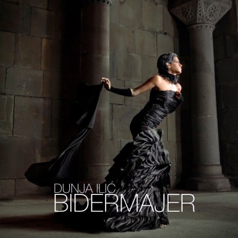 Bidermajer | Boomplay Music