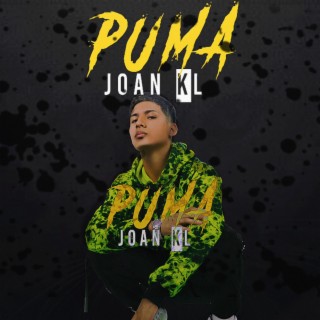 Puma lyrics | Boomplay Music