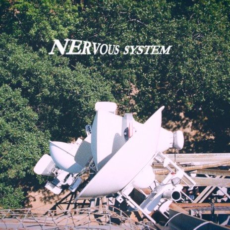 Nervous System | Boomplay Music
