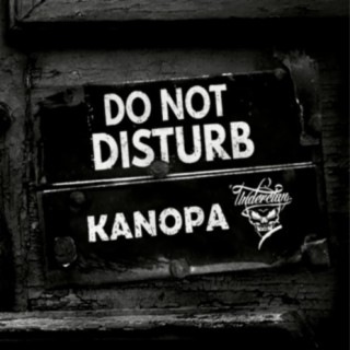 Do not disturb | Boomplay Music