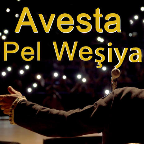 Avesta Pel weşiya | Boomplay Music