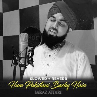 Hum Pakistani Bachy Hain (Lofi-Mix)