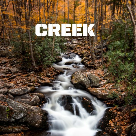 Creek XXXI