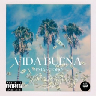 Vida Buena (feat. Toro)
