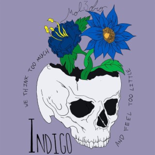 Indigo