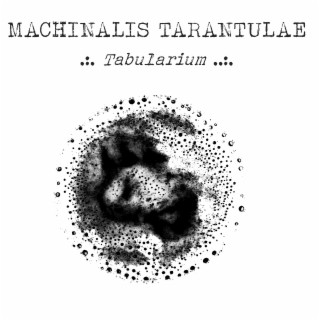 MACHINALIS TARANTULAE