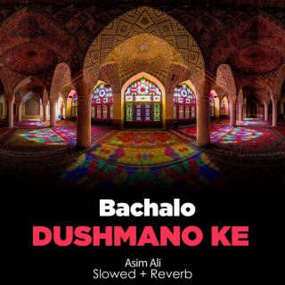 Bachalo Dushmano Ke Lofi