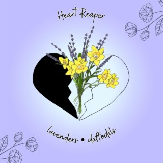 daffodils lyrics | Boomplay Music