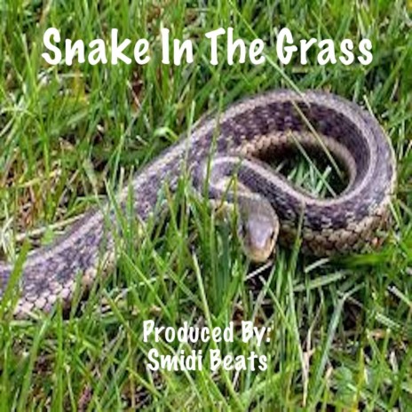 Snake In The Grass