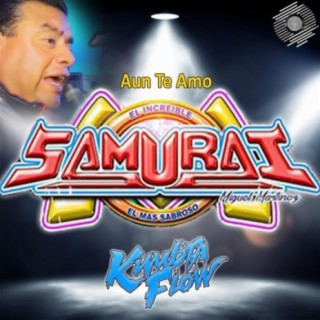 Aun Te Amo (feat. Sonido Samurai)