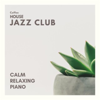 Calm Relaxing Piano