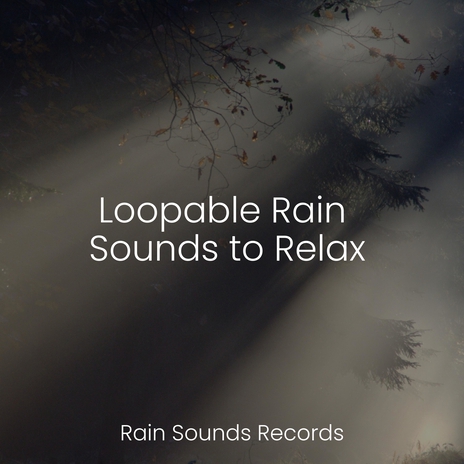 Melodic Sunlit Oasis ft. Ambient & Weather Factory | Boomplay Music