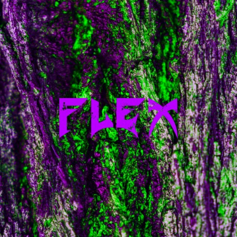 FLEX (feat. Tib)