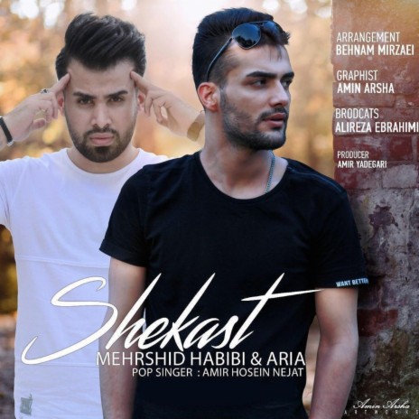 Shekast (feat. Aria) | Boomplay Music