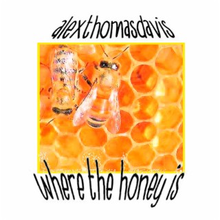 Where The Honey Is