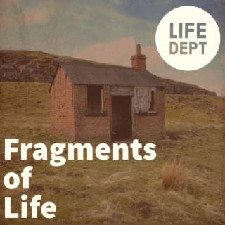 Fragments of Life