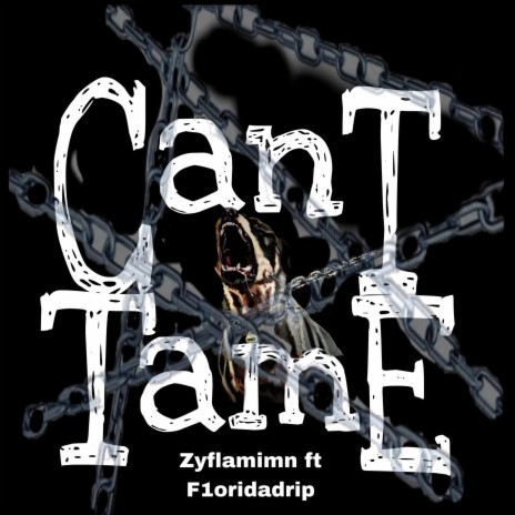 Can't Tame ft. f1ordiadrip | Boomplay Music