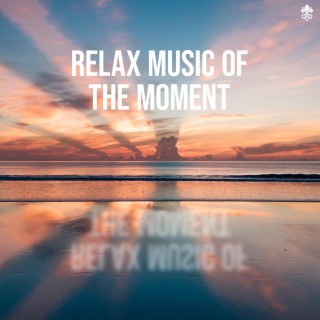 Relax Music of the Moment