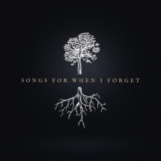 Songs for When I Forget