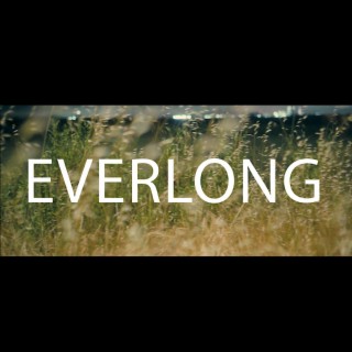 Everlong lyrics | Boomplay Music