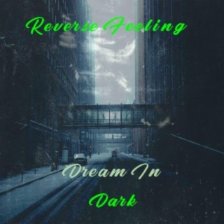 Dream In Dark