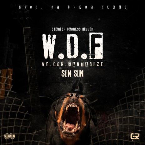 We Doh Fantasize (W.D.F) (feat. Sin Sin) | Boomplay Music