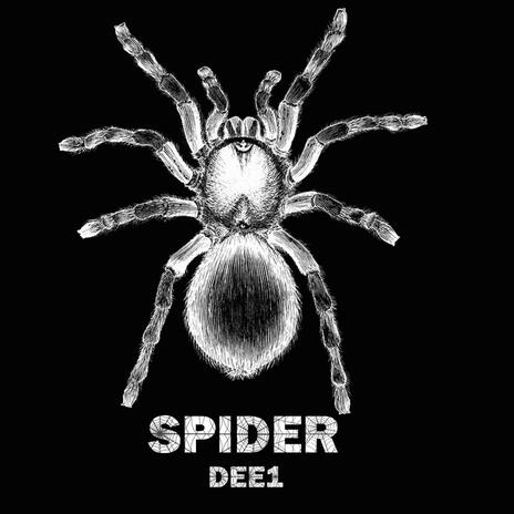 SPIDER | Boomplay Music