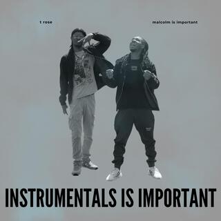 instrumentals is important (instrumental)