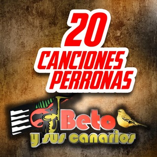 20 Canciones Perronas