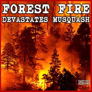 Forest Fire Destroys Musquash In Only Two Hours