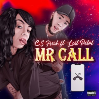 Mr Call (feat. Lostpetal)