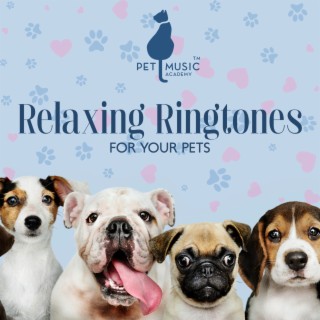Relaxing Ringtones for Your Pets: Relax and Deep Sleeping For Dogs and Cats