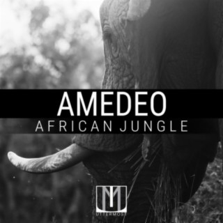 African Jungle