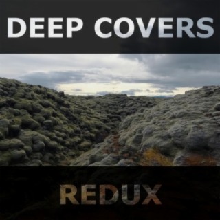 Redux (Remixes)