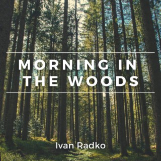 Morning in the Woods