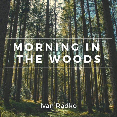 Morning in the Woods | Boomplay Music