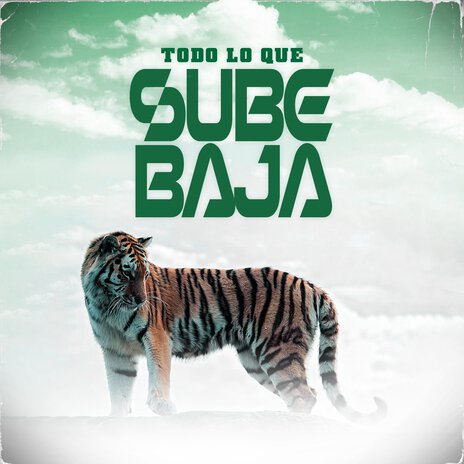 Todo lo Que Sube Baja | Boomplay Music