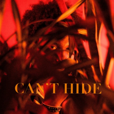 Can't Hide | Boomplay Music