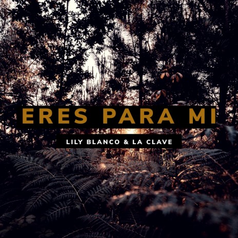 Eres Para Mi ft. Lily Blanco | Boomplay Music